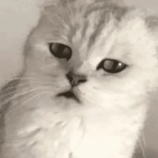 Стикер ФуферыСтикерПак by pro100 - 11