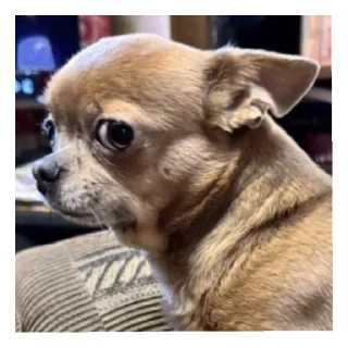 Стикер Про - 3