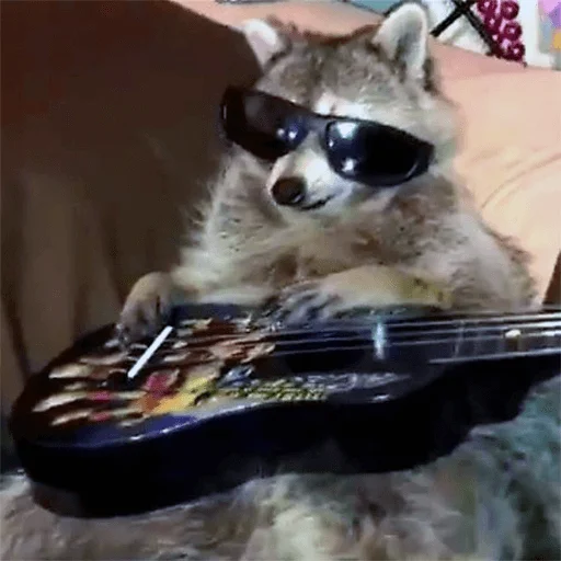 солнечные очки защитные очки млекопитающее