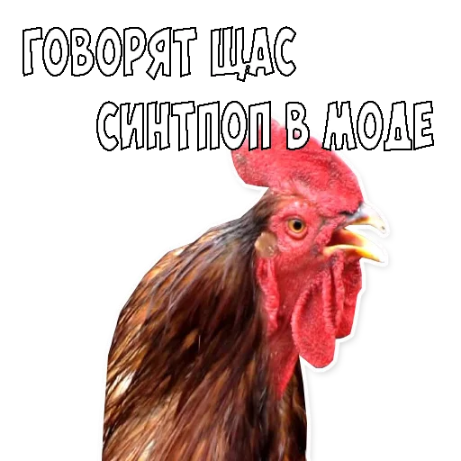 Sticker @rusproducer - 11