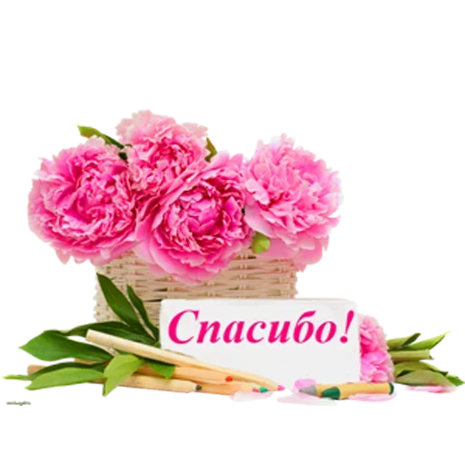 rose birthday cake garden roses