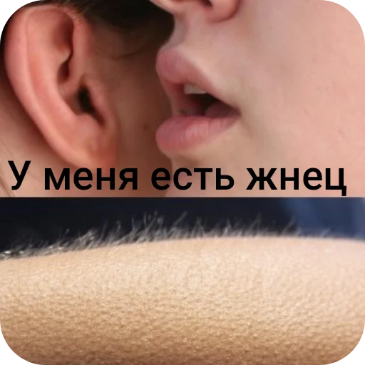 Стикер ProektNaDno - 1