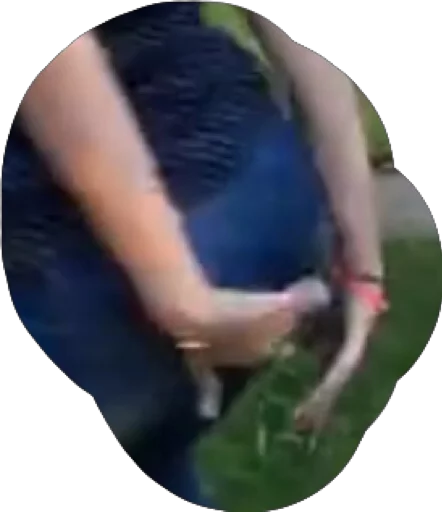 Sticker Project7ya - 1