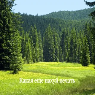 Стикер Projects CSAT NDA - 0