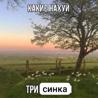 Стикер Projects CSAT NDA - 11