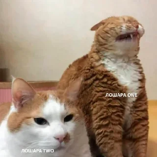 Стикер Projects CSAT NDA - 10