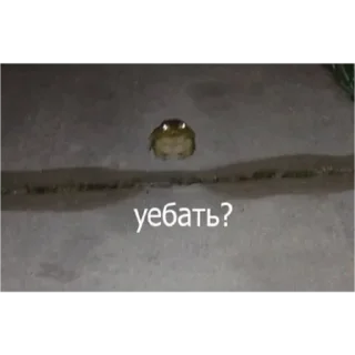 Стикер Пролд - 0