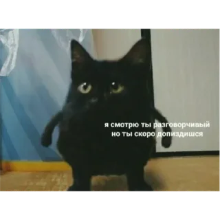 Sticker Проо - 4