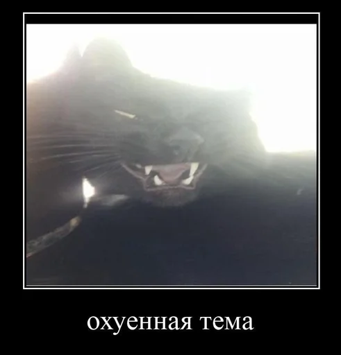 Necobancum :: @fStikBot - 