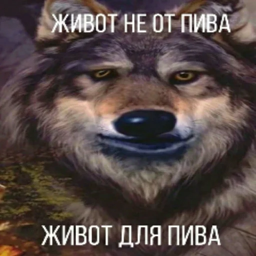 Стикер Propadi vse propadom - 1