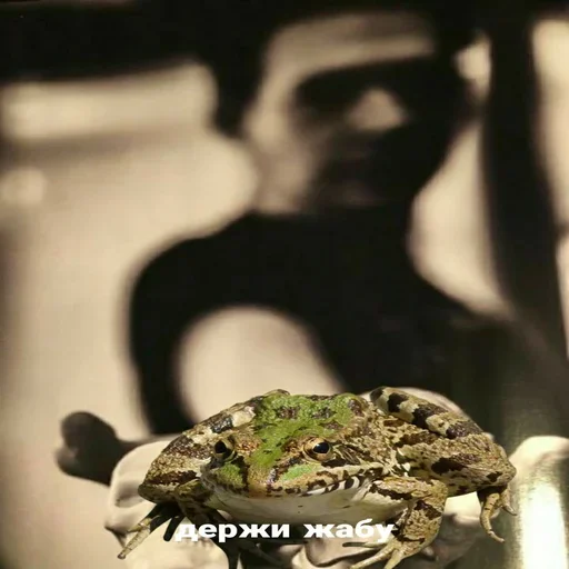 Стикер Proshmandovki_duhovenstva - 1