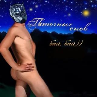 Sticker IT'S A HUNTER'S MOON - 1