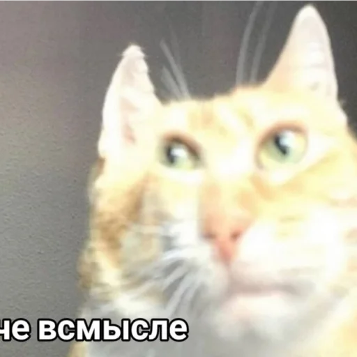 Стикер Prosstickers - 1