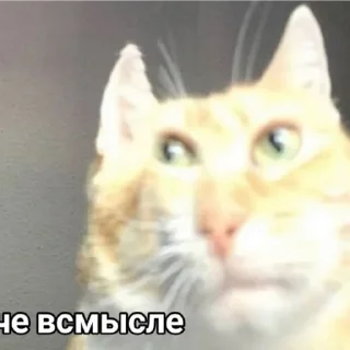 Sticker На ВсеСлучаи Жизни - 6