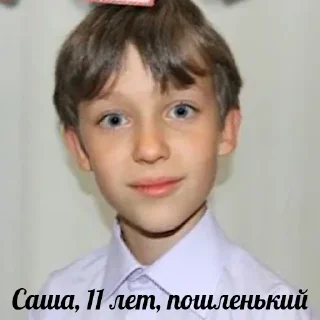 Sticker Просто Шиза (t.me/prostayashizastickers) - 8