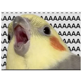 Sticker Просто картинки - 10