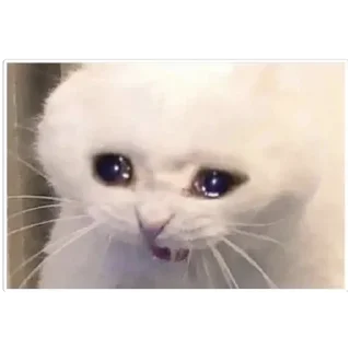 Sticker Просто картинки - 8