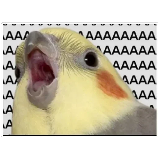 Sticker ProstoKartinki - 1