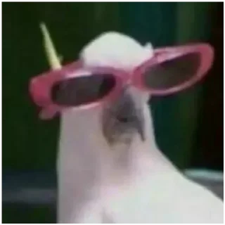 Sticker Просто картинки - 3