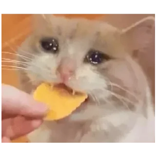 Sticker Просто картинки - 0