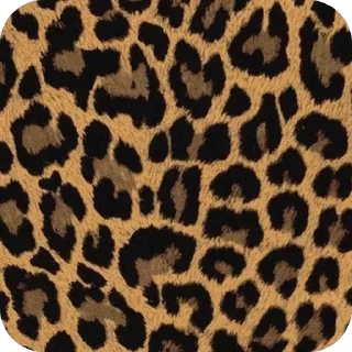 Sticker просто Ника 🤍 - 10