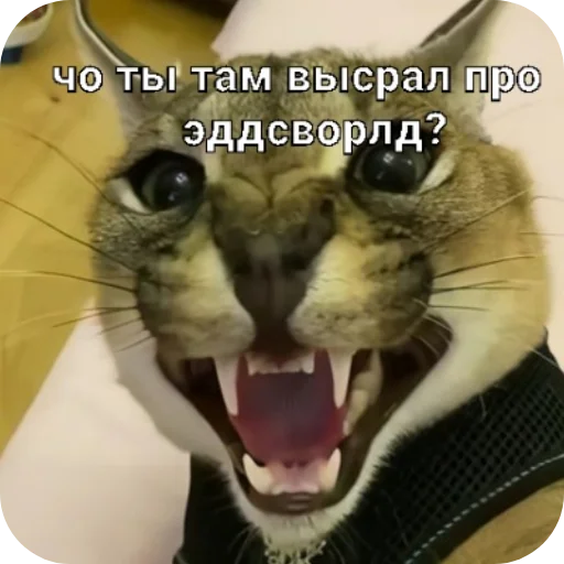 Sticker ProstoStiki843 - 1