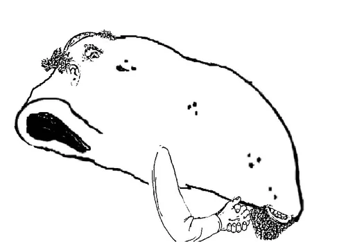 sketch drawing line art