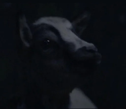 Стикер @shadow :: @fStikBot - 1