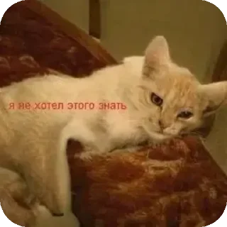 Стикер Прожуй слюнки - 8