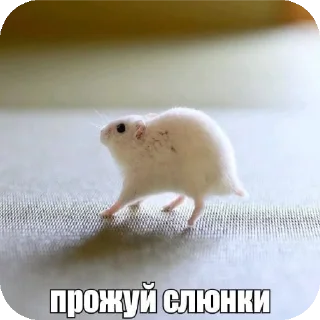 Стикер Прожуй слюнки - 2