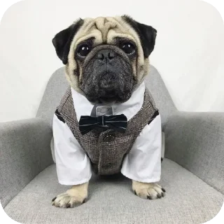 Стикер Прожуй слюнки - 10