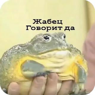 Стикер Прожуй слюнки - 9