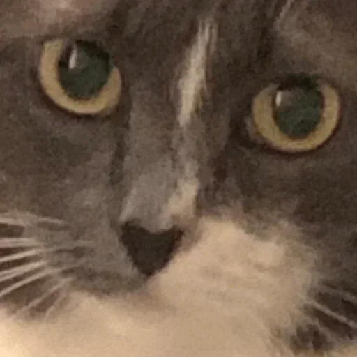 Sticker Prozrenie_stik - 1