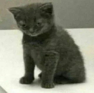 Стикер Стики ПИ - 10