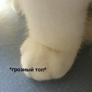 Стикер Стики ПИ - 6