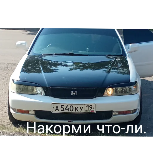 Прпрпр да эти самые - 