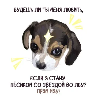 Sticker прям мяу! - 1