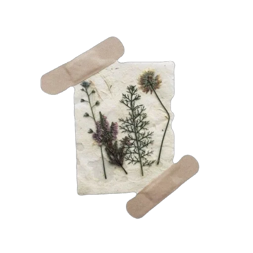 Sticker Pshchshch1 - 1