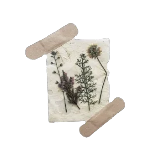 Sticker Horropedia | @reverse1999stickers - 8