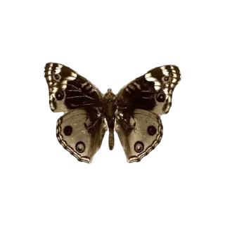 Sticker Horropedia | @reverse1999stickers - 0