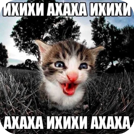 Стикер Psihopaty35 - 1