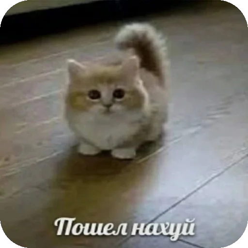 Sticker Psihopaty35 - 1