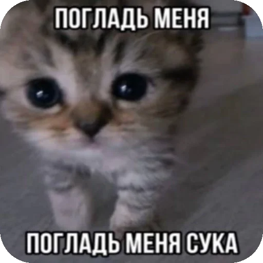 Стикер Psihopaty35 - 1