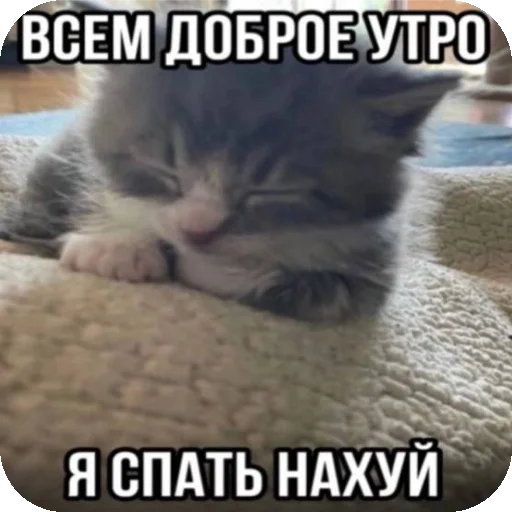 Психопаты - 