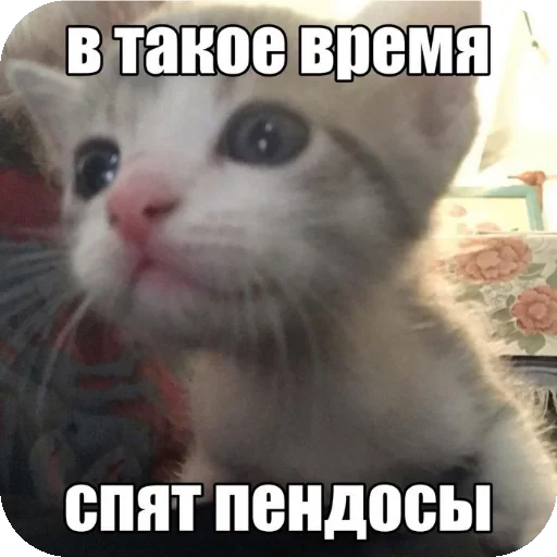 Стикер Psihopaty35 - 1