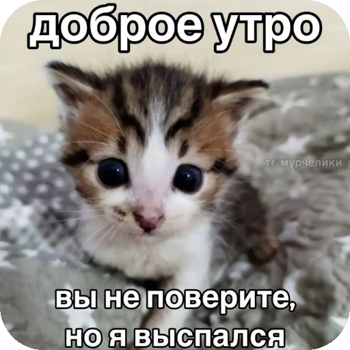 Sticker Psihopaty35 - 1