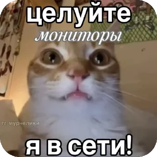 Стикер Психопаты - 5