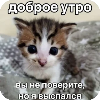 Стикер Психопаты - 1