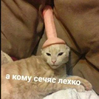 Стикер Psihush - 0