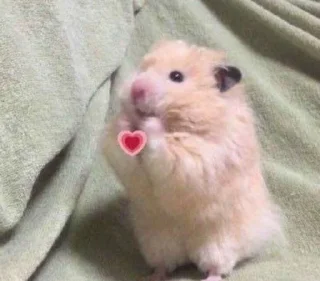 Стикер Psihush - 3